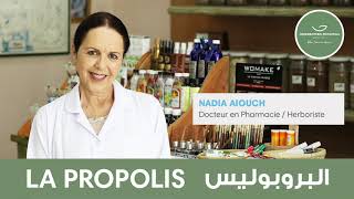 🍯 La propolis  antibiotique naturel  antiviral amp antiinflammatoire  Dr Nadia Aiouch 👩‍⚕️ [upl. by Moss]