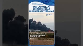 Diserang Hizbullah Tanpa Henti Ratusan Ribu Hektar Lahan di Israel Terbakar Bak Lautan Api [upl. by Bodkin654]