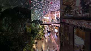 Hamad International Airport Visit Qatar Doha Walkthrough Tour 🇶🇦 [upl. by Lymann]