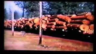 McCloud Ca Saw Mill the year was 1963 Vlog 20 [upl. by Baten]