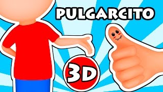 👍 PULGARCITO 👍 Donde está pulgarcito  Canciones Infantiles  Dibujos en Español [upl. by Geldens]