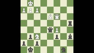 Scandinavian Defense Modern Marshall Variation 4c4 Nb6 5Nf3 g6 6Nc3 Bg7Event European Rapid [upl. by Hailee509]