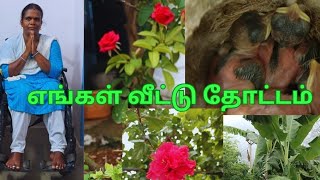 எங்கள் வீட்டு தோட்டம் Engal veet Thottam my graden in tamil [upl. by Eeloj]