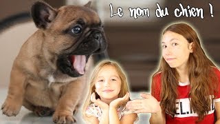 Notre petit chiot a 1 mois  On lui rend visite et on vous dévoile son nom en exclusivité [upl. by Radmen]