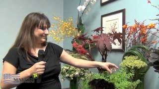 September 2012 Wholesale Flower Product Showcase [upl. by Ydahs276]