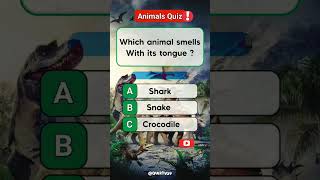 Guess The Correct Answer 😁 quiz trivia geographyquiz [upl. by Trilley]