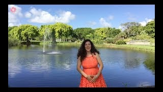 Sacral Chakra Meditation  Pelvic Floor Physical Therapy Exercises To Prevent Dysfunction [upl. by Janean]