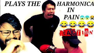 JAPANESE PLAYS THE HARMONICA WITH PAIN  REACTION [upl. by Mariann]