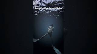 Free diving with sardines in the Philippines [upl. by Reste]