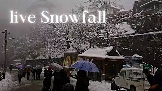 Narkanda Snowfall Today  Live Snowfall  Nnarkanda tourist places [upl. by Akitan]