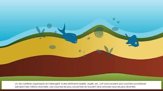 formation des gisements petrolier et gazier [upl. by Joel]