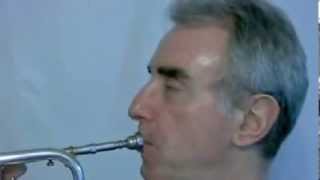 Trompetenkurs Ansatz und Atmung trumpet embouchure and breathing [upl. by Lipkin]