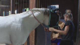 Deadly tornado hits Celina equestrian pasture [upl. by Rocker]