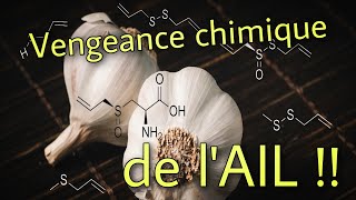 🧄 Ail et mauvaise haleine  Vengeance chimique [upl. by Ilahsiav]