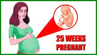 25 Weeks Pregnant Symptoms – Baby Size in Womb and Baby Movement [upl. by Lah]