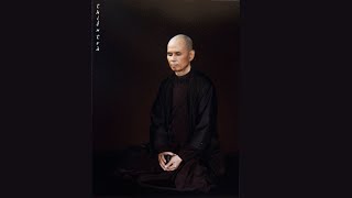 Sitting with the Buddha  Guided Meditation by Thich Nhat Hanh [upl. by Jahdol]