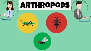 Characteristics of Arthropods [upl. by Abba]