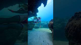 🩷🖤🩷🖤🩷 underwater freediver freediving [upl. by Ecyar96]