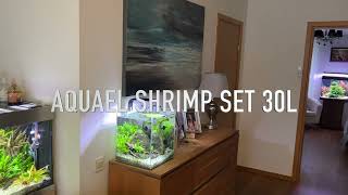 AQUAEL SHRIMP SET 30L [upl. by Norry]