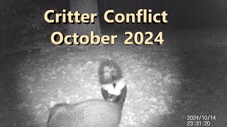 Critter Conflict  October 2024 [upl. by Indihar]