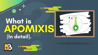 What is Apomixis In detail [upl. by Jamila]