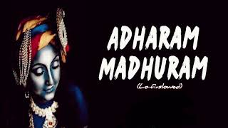 ADHARAM MADHURAM  maduratrakam  Lofi  slowedrevarb [upl. by Uokes237]