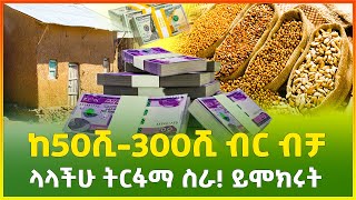 ከ50ሺ300ሺ ብር ብቻ ላላችሁ ትርፋማ ስራ ይሞክሩት  business idea  Ethiopia  Gebeya [upl. by Sapowith]