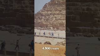 The Most Predictive Election in Historyyoutubeshorts facts egypt [upl. by Nohsal16]