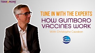 How Gumboro Vaccines Work with Christophe Cazaban [upl. by Flaherty41]