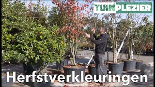 Arjans Top 5 bomen met een mooie herfstverkleuring  TUINPLEZIER [upl. by Hendrix]