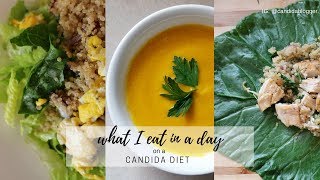 WHAT I EAT IN A DAY 2  CANDIDA DIET [upl. by Ecaj691]