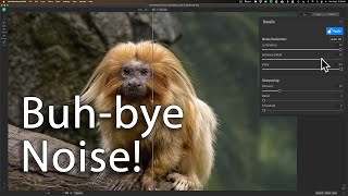 Removing NOISE in Photoshop with NoNoise AI [upl. by Adekan]