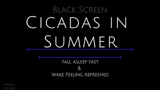 Black Screen 10 Hours  Cicadas  Cicadas Sound  Sound of Cicadas  Sound of Summer [upl. by Nyrrat]