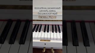 Чистая правда piano pianist music pianomusic classicalmusic рекомендации фортепиано музыка [upl. by Home]