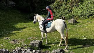 lesson at Ivybridge equestrian Centre 🥳🥳 [upl. by Pejsach777]