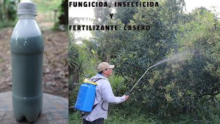 POTENTE Fungicida Insecticida y Fertilizante Casero Plantas Libre de Plagas y muy Hermosas [upl. by Ahsinauq]