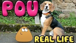 Pou in real life [upl. by Austine]