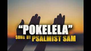 pokelela Amalumbo by psalmist sam [upl. by Kahaleel]