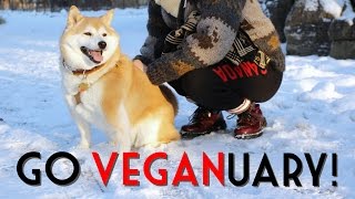 GO VEGANuary Give it a try [upl. by Nairbo]