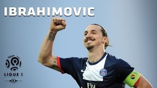 Zlatan Ibrahimovic  All 26 Goals  20132014 [upl. by Enavi]