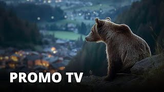 PERICOLOSAMENTE VICINI 2024  Promo tv [upl. by Carma713]