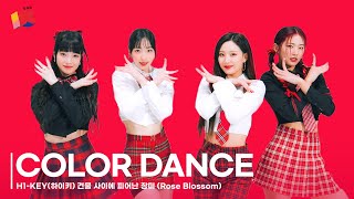 COLOR DANCE H1KEY  Rose Blossom  4K Performance video  컬러댄스 H1KEY Performance [upl. by Aihsenod]