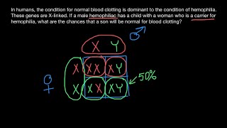 Xchromosome genetic disorders inheritance explained [upl. by Enehpets]