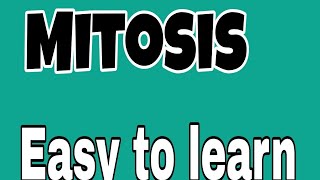 Mitosis 9th class Lesson no24 [upl. by Aamsa]