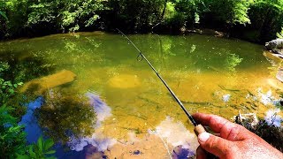 Fishing Panfish Beds In A Creek [upl. by Blus]