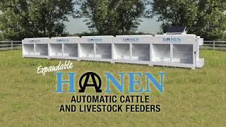 The Expandable Hanen Automatic Cattle and Livestock Feeder [upl. by Ennairak]