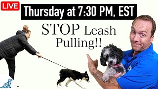 10 Tips To FIX Your Leash Walking Training For Dogs That Pull [upl. by Notxam638]