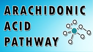 Arachidonic Acid Pathway [upl. by Jacob382]