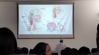 CLASE LARINGE TIROIDES FARINGE TRAQUEA ESÓFAGO CERVICAL y X PAR [upl. by Arlene]