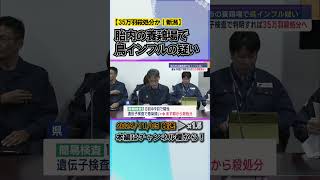 胎内市の養鶏場で高病原性鳥インフルエンザ疑い：遺伝子検査で判明すれば35万羽殺処分へ news short ux新潟テレビ21 新潟 [upl. by Dede]